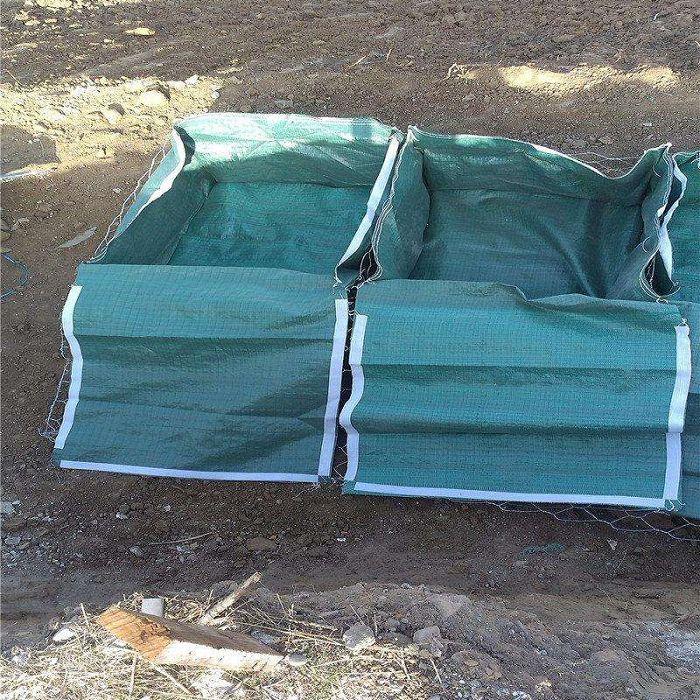 Geocontainer
